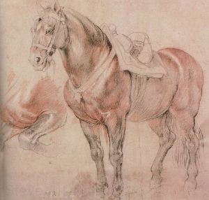 Sketch of horse